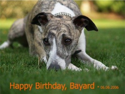 Bayard_08.05_1-small