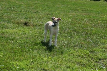 Classie_18.06.2013_1