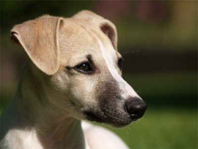 Fil_1_03.05.2013-small