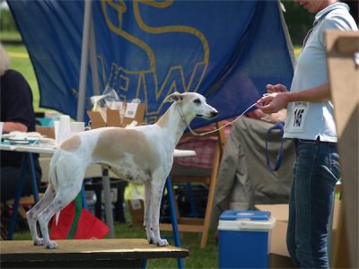 Eve_06.07.2013-small