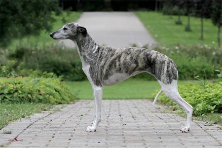 Kissy_25_06_2013_2-small