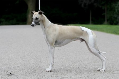 Mono_25_06_2013_2-small