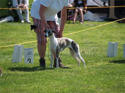 Samara_06.07.2013-small