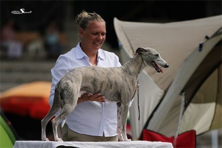 DE_03_08_2013_64-small