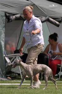 DE_03_08_2013_65-small