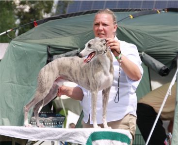 Donaueschingen 3 und 4.08.2013 006-small