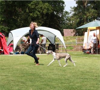 Donaueschingen 3 und 4.08.2013 007-small