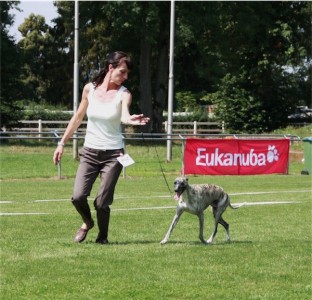 Donaueschingen 3 und 4.08.2013 Dino-small