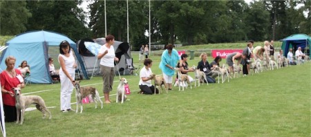 Donaueschingen 3 und 4.08.2013 Lenny_Mono-small