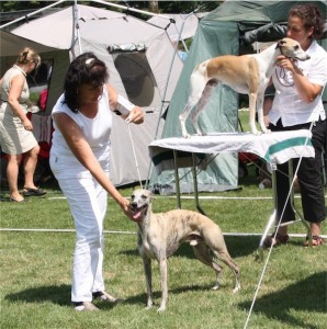 Donaueschingen 3 und 4.08.2013 Miro-small