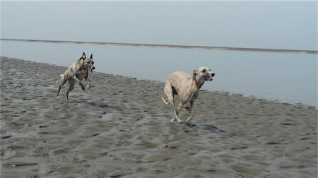 Radartüten_beim_Fetzen[1]-small