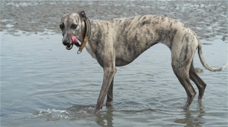 Salzwasser_schmeckt[1]-small