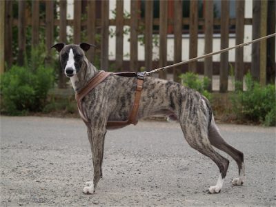 Sky_08.08.2013-small