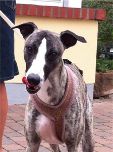 Sky_08.08.2013_2-small