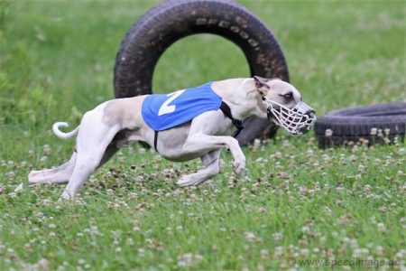 Mono_28_07_2013_speedimage_1-small