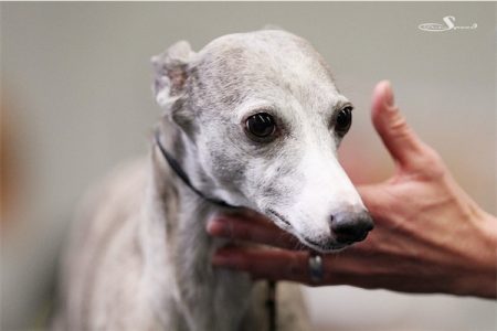 BS_13_10_2013_15-small