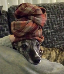 1450842_555814434487317_526014571_n