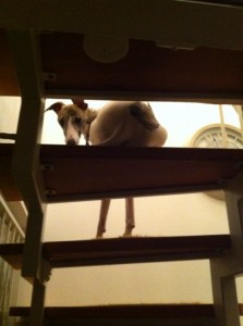 856a6082ba1eb64ee8ae859e56804ca3