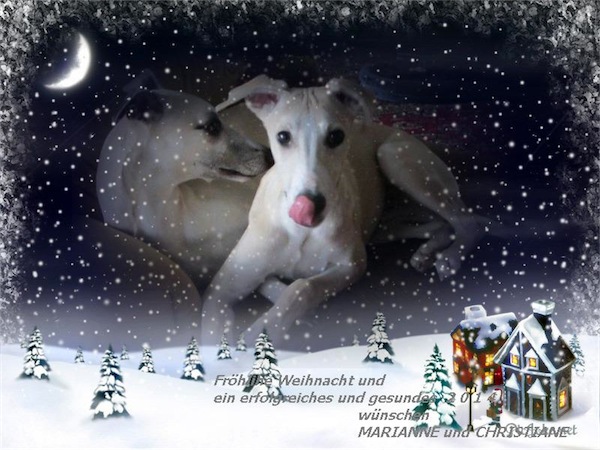 Mariannes Weih.2013 Givy-Savy-small