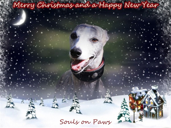 Weihnachten 2013-small