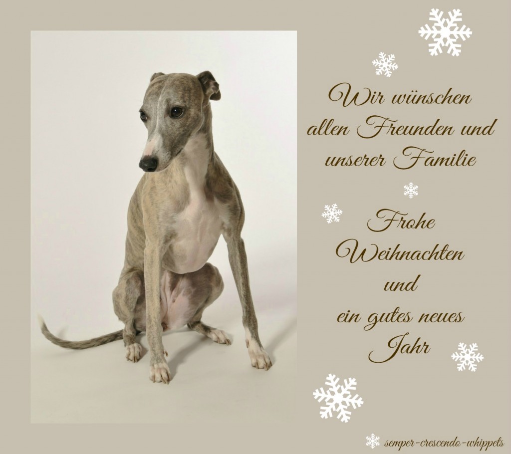 Weihnachten_2013_1_1f