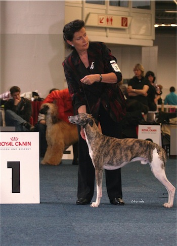 Lenny_11_05_2012_1-small