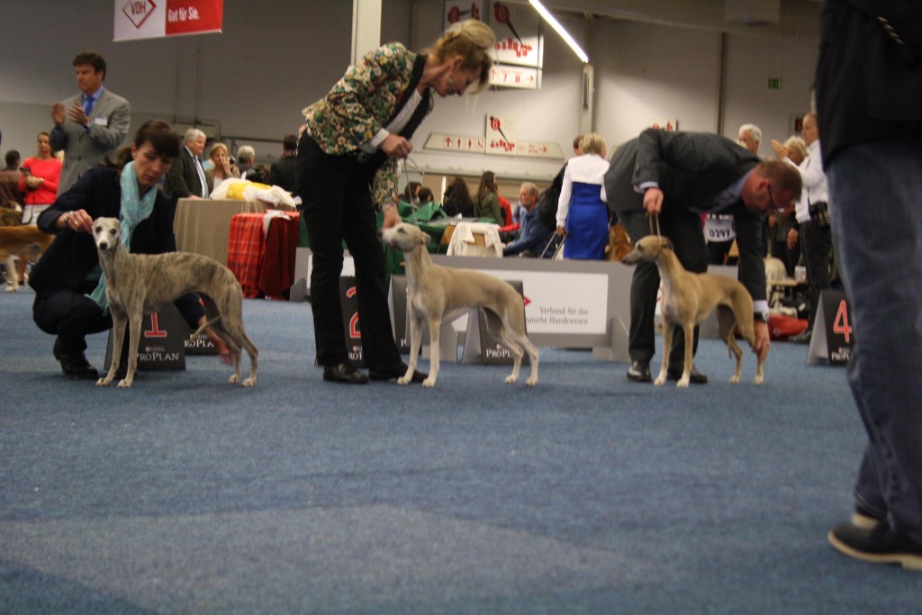 10338426_755721777793148_8206543888089241638_o