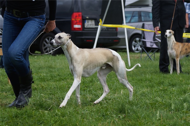 Mono_1_24.05.2014-small