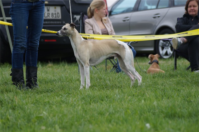 Mono_2_24.05.2014-small