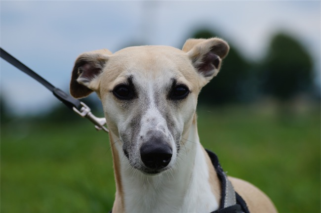 Rumo_2_24.05.2014-small