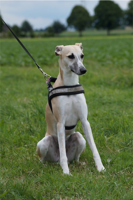 Rumo_3_24.05.2014-small