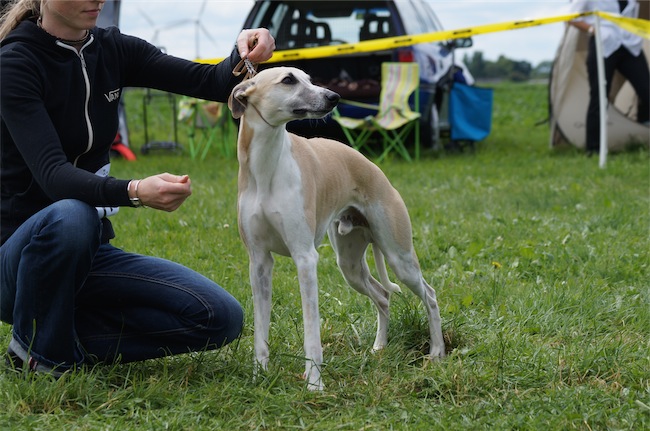 Rumo_4_24.05.2014-small