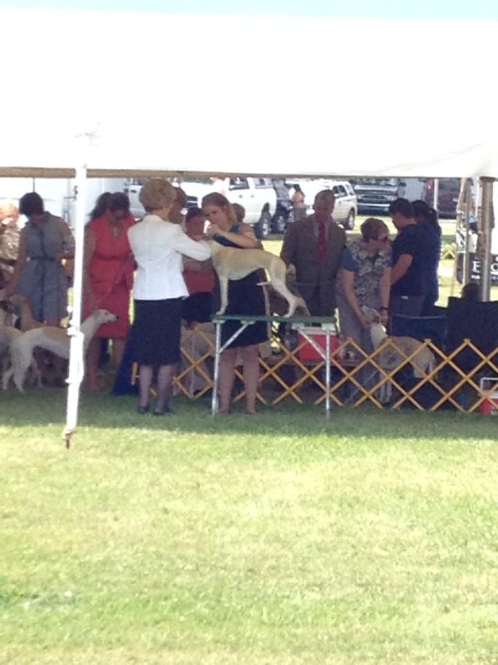 10508431_10202470373944959_1129448643_n