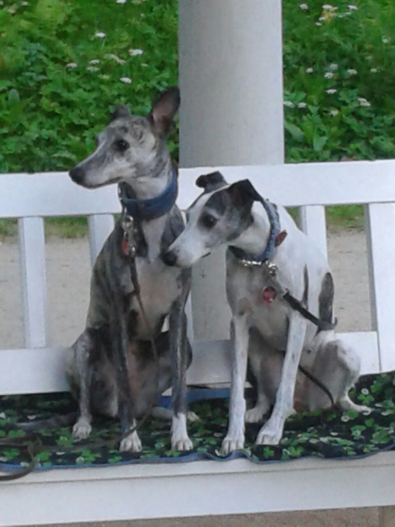 e9ac28e7b85624f21903e5bc42f6f68b