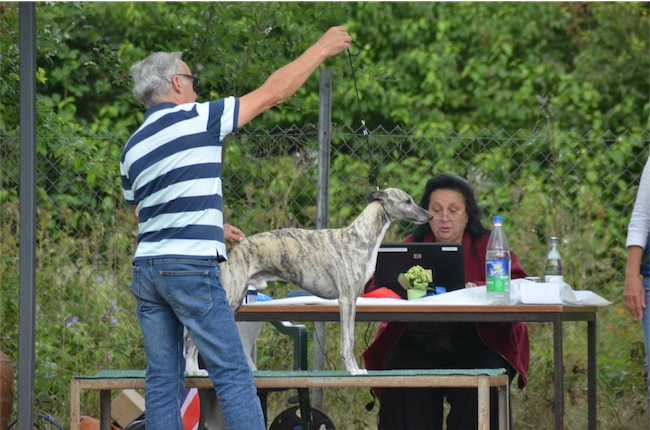 10575456_836897253000912_1560851939651971149_o-small