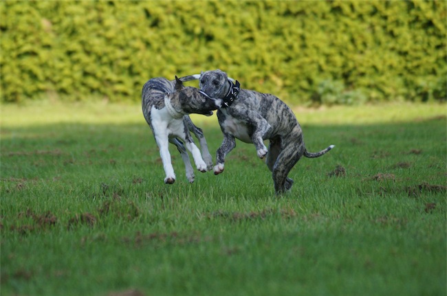 Eni_Giorno_13.09_1-small