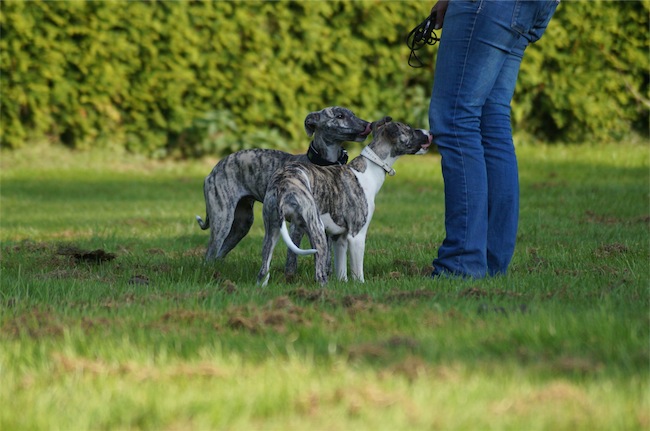 Eni_Giorno_13.09_2-small