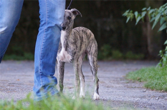 Giorno_13.09._7-small