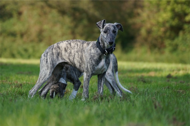 Giorno_13.09_1-small