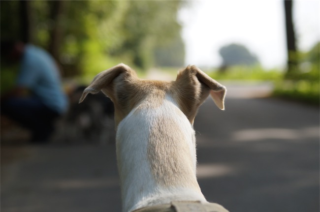 Advent_Vorstellung-small