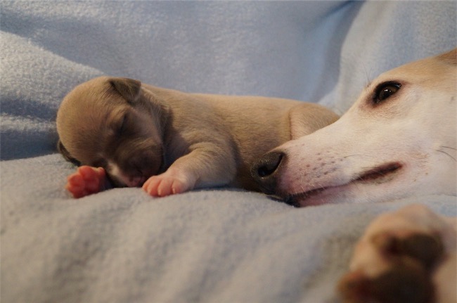 Light_07.01.2015-small