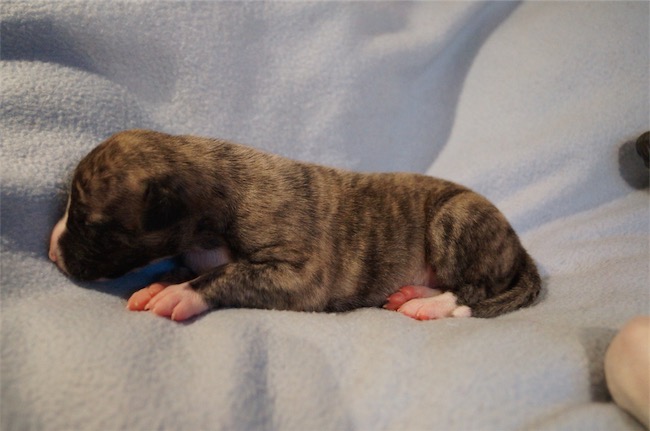 Society_07.01.2015-small