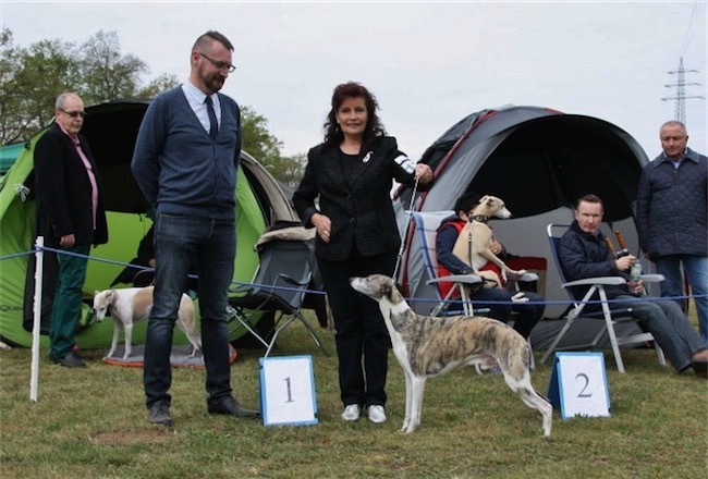 IMG_7886 (1024x683)-small