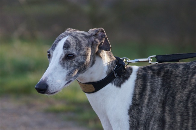 10.01.2016_Emma_1-small