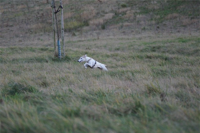 10.01.2016_Eve_1-small