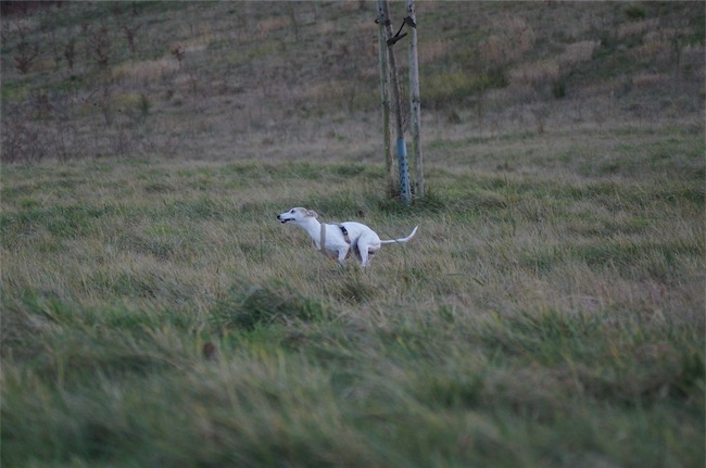 10.01.2016_Eve_2-small