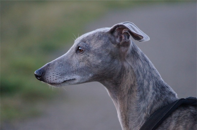 10.01.2016_Fynn-small