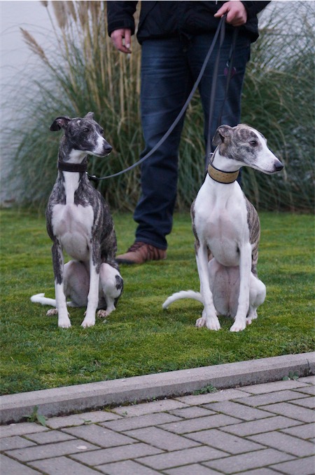 10.01.2016_Luna_Emma-small