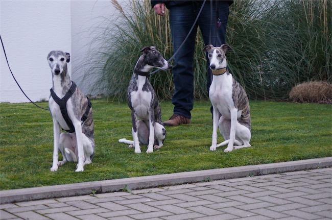 10.01.2016_Töchter-small