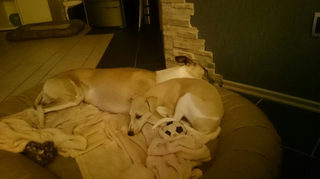 4e666425c05b77862b6c8d3d65cbe937